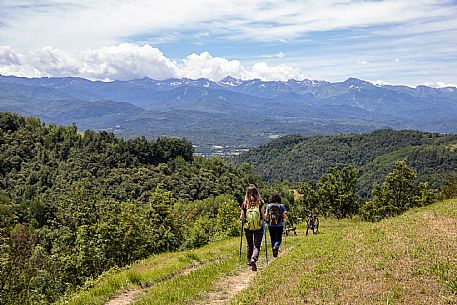 Trekking Alta Langa